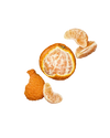 SOPIE